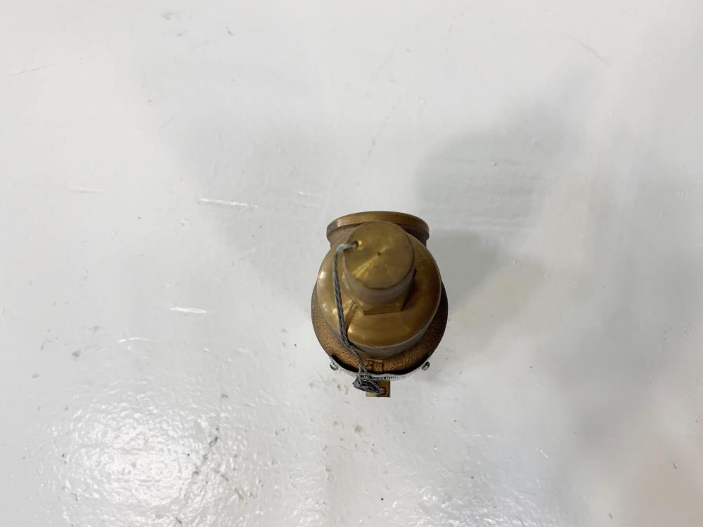 Aquatrol 3/4" x 1" NPT 75# Bronze Relief Valve 89B